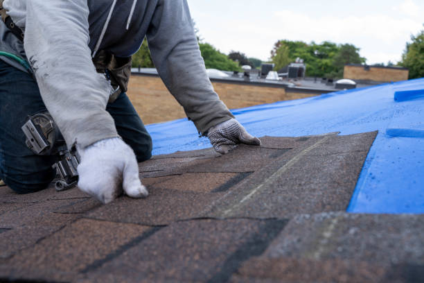 Best Roof Gutter Cleaning  in Kualapuu, HI