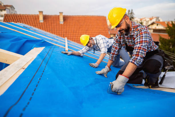 Best Local Roofing Companies  in Kualapuu, HI